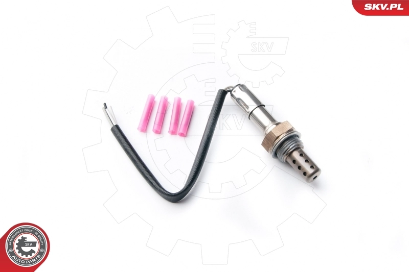 Oxygen Sensor